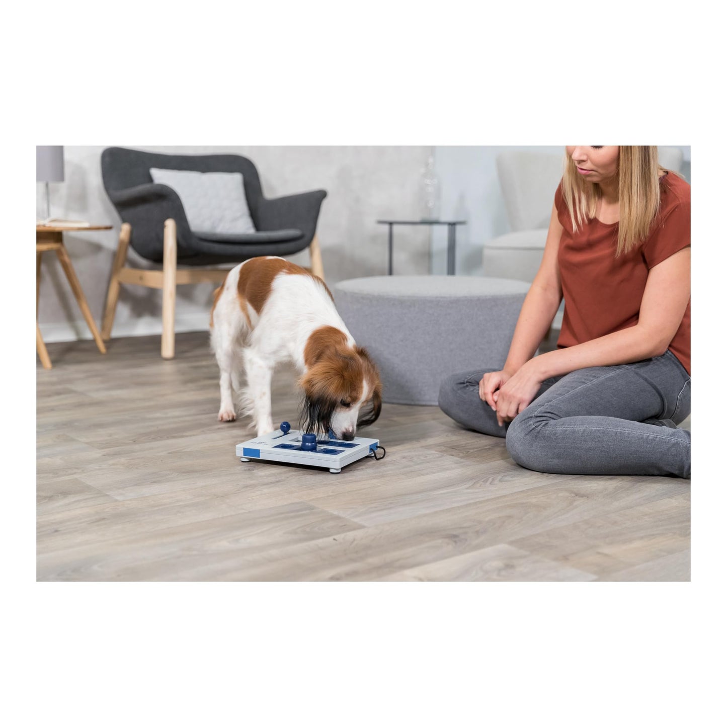 Trixie Move to Win Level 3 Dog Puzzle Game