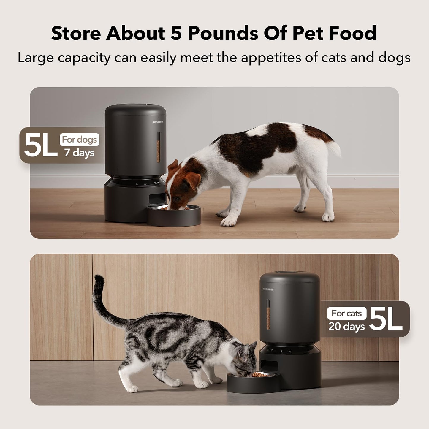 Automatic Cat Feeder with Freshness Preservation and Timed Meals