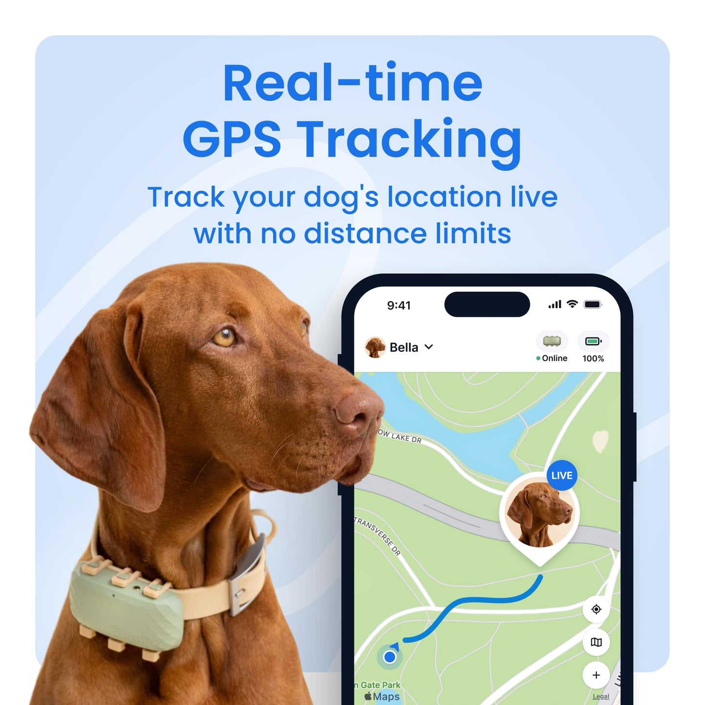 Tractive XL Smart Dog GPS Tracker with Health Monitoring