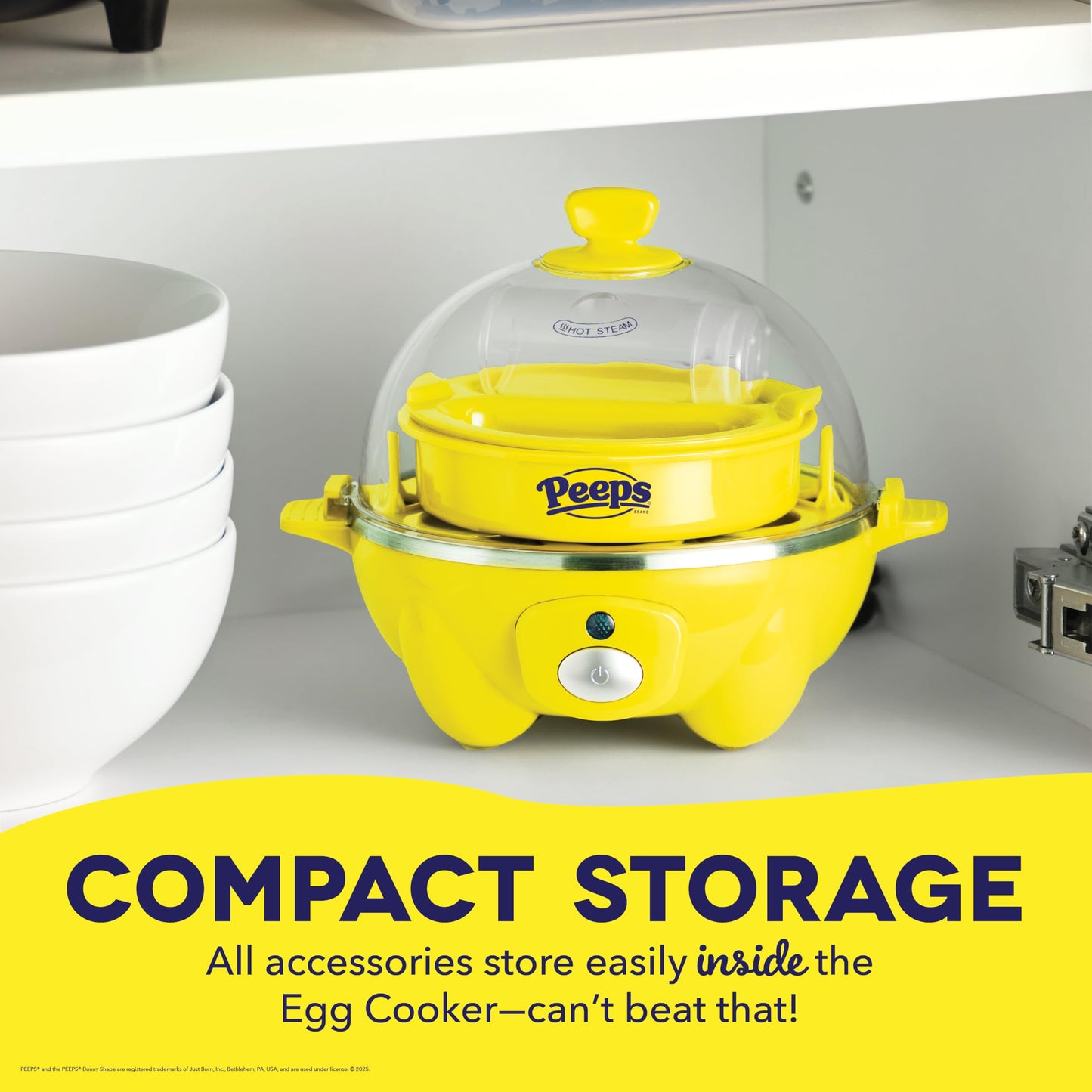 Dash Rapid Egg Cooker 6 Egg Capacity Auto Shut Off Aqua