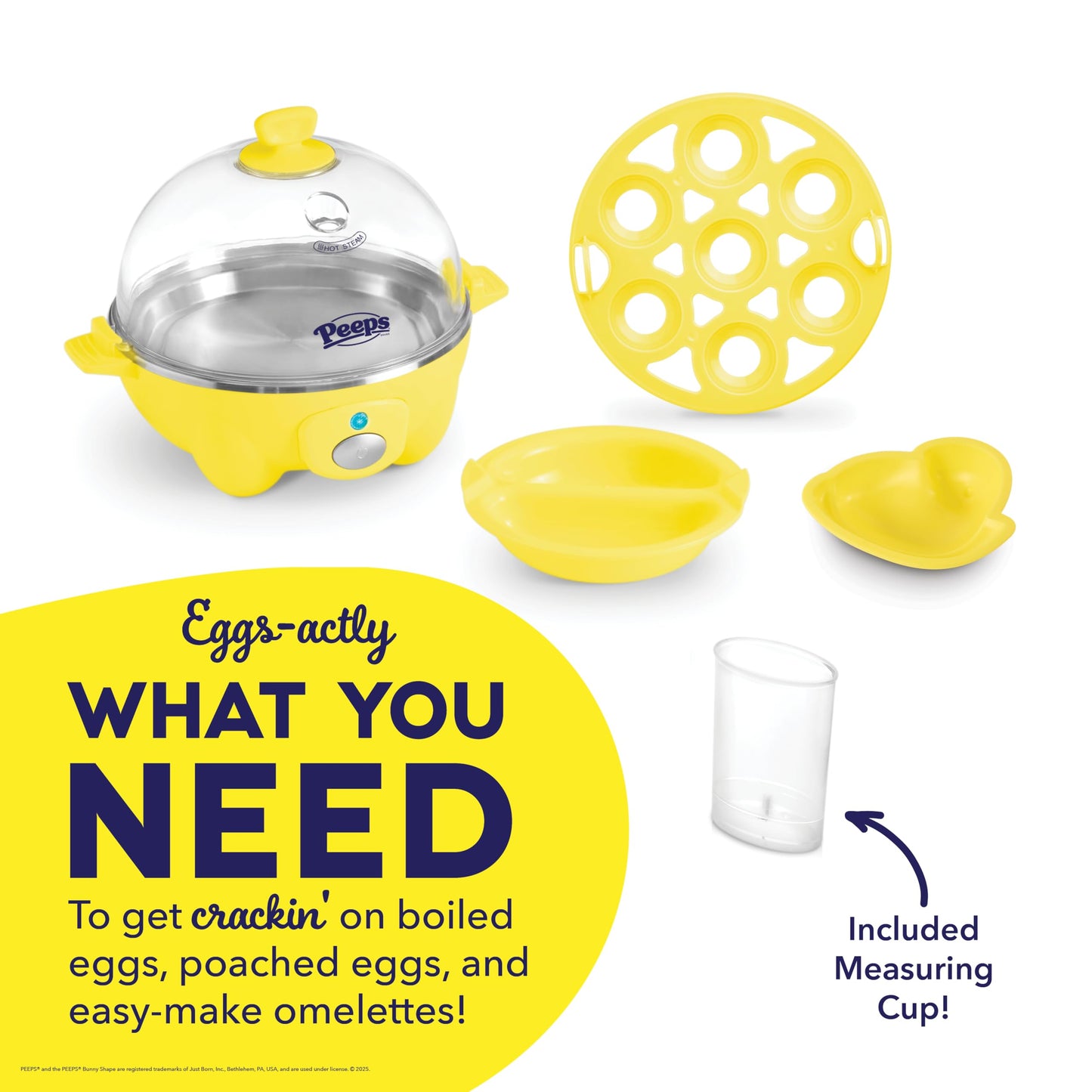 Dash Rapid Egg Cooker 6 Egg Capacity Auto Shut Off Aqua