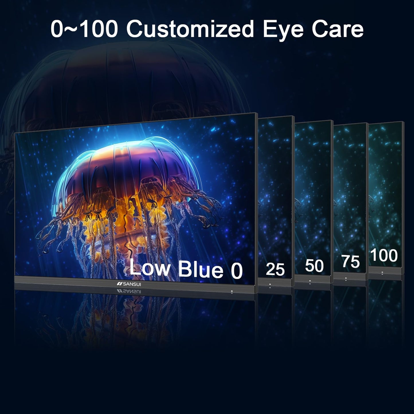 Sansui 24 Inch Eye Care Monitor With HDMI And VGA Ports