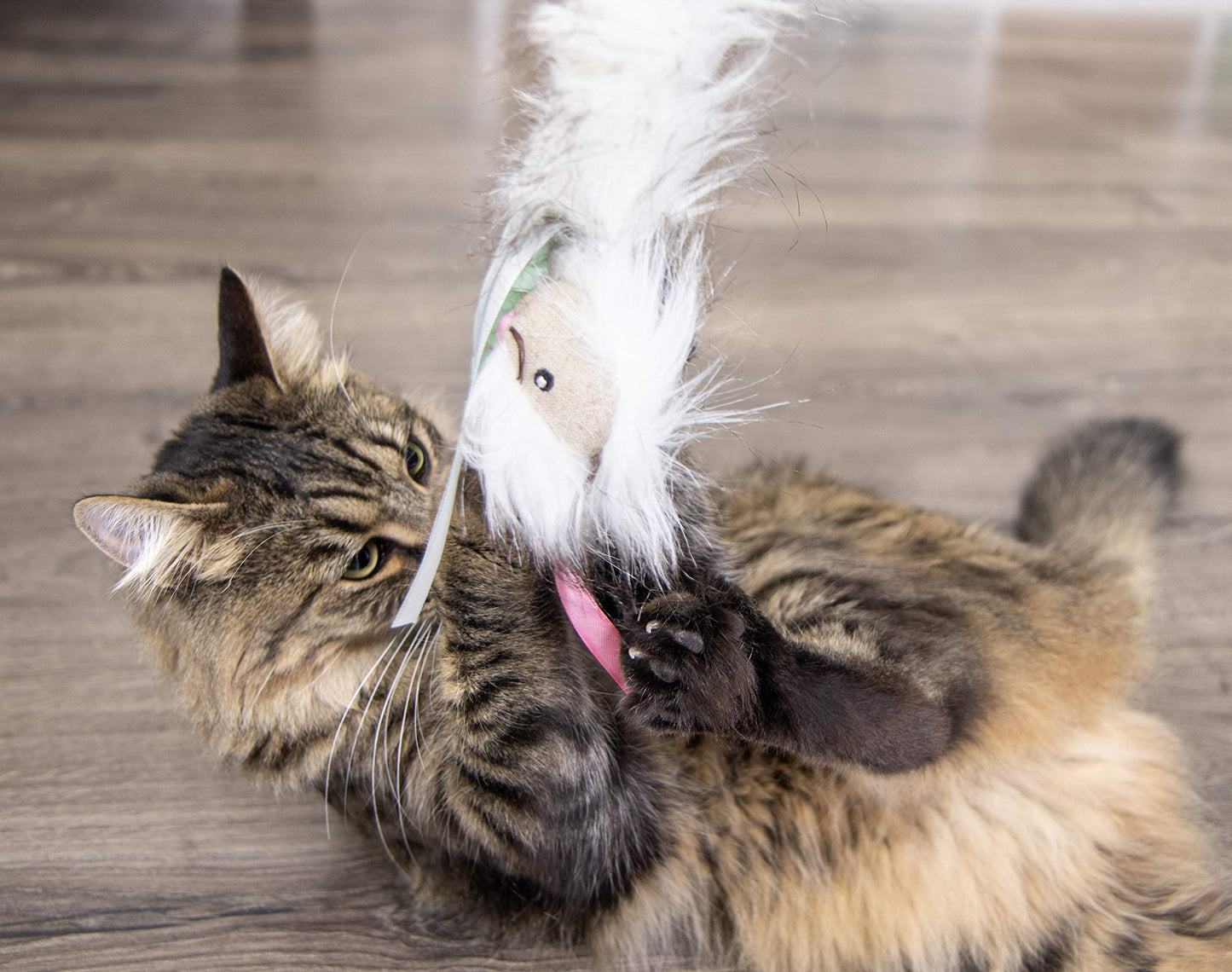 SmartyKat Chit Chatter Cat Toy with Realistic Sounds