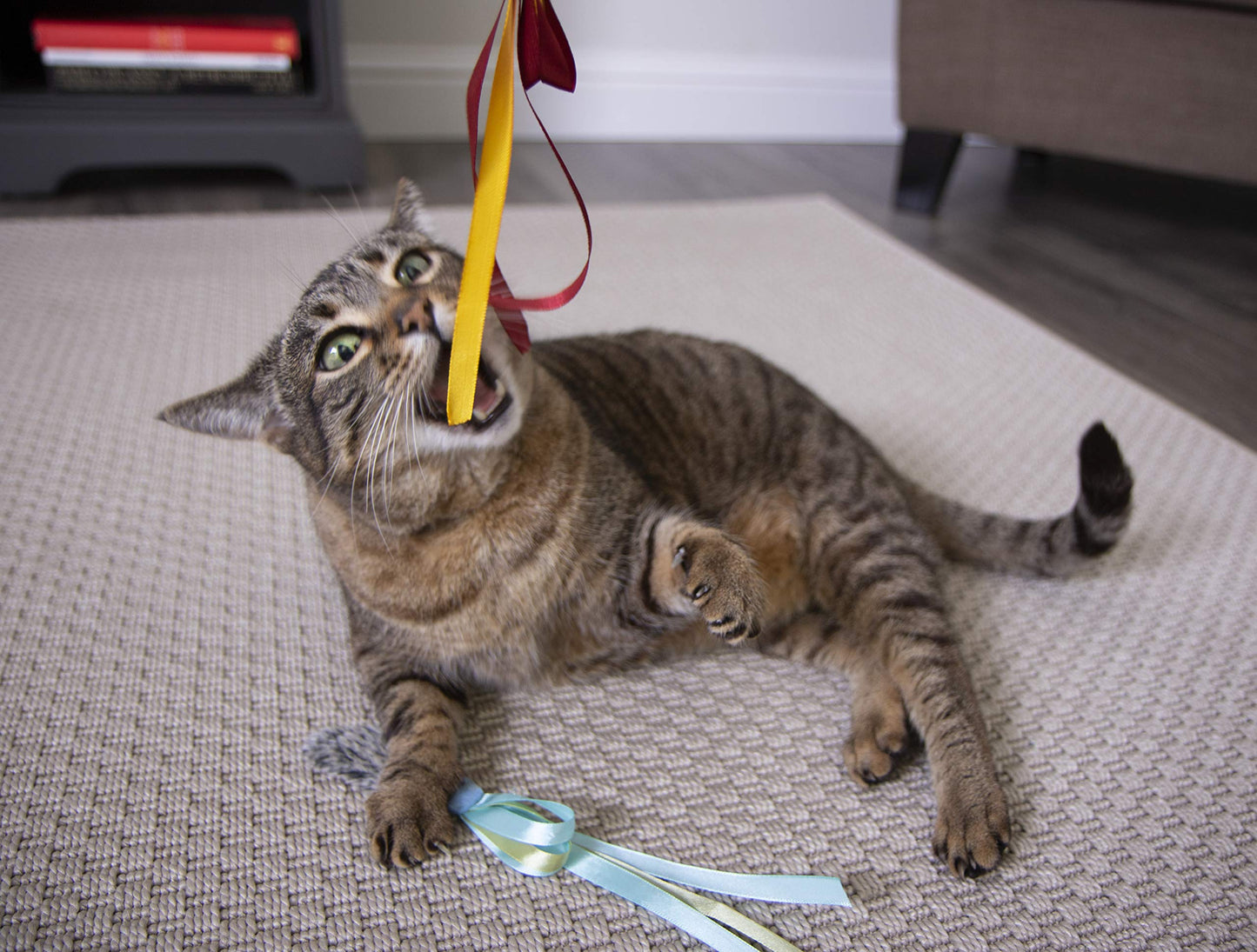 Interactive Cat Toy with Light and HappyNip Blend