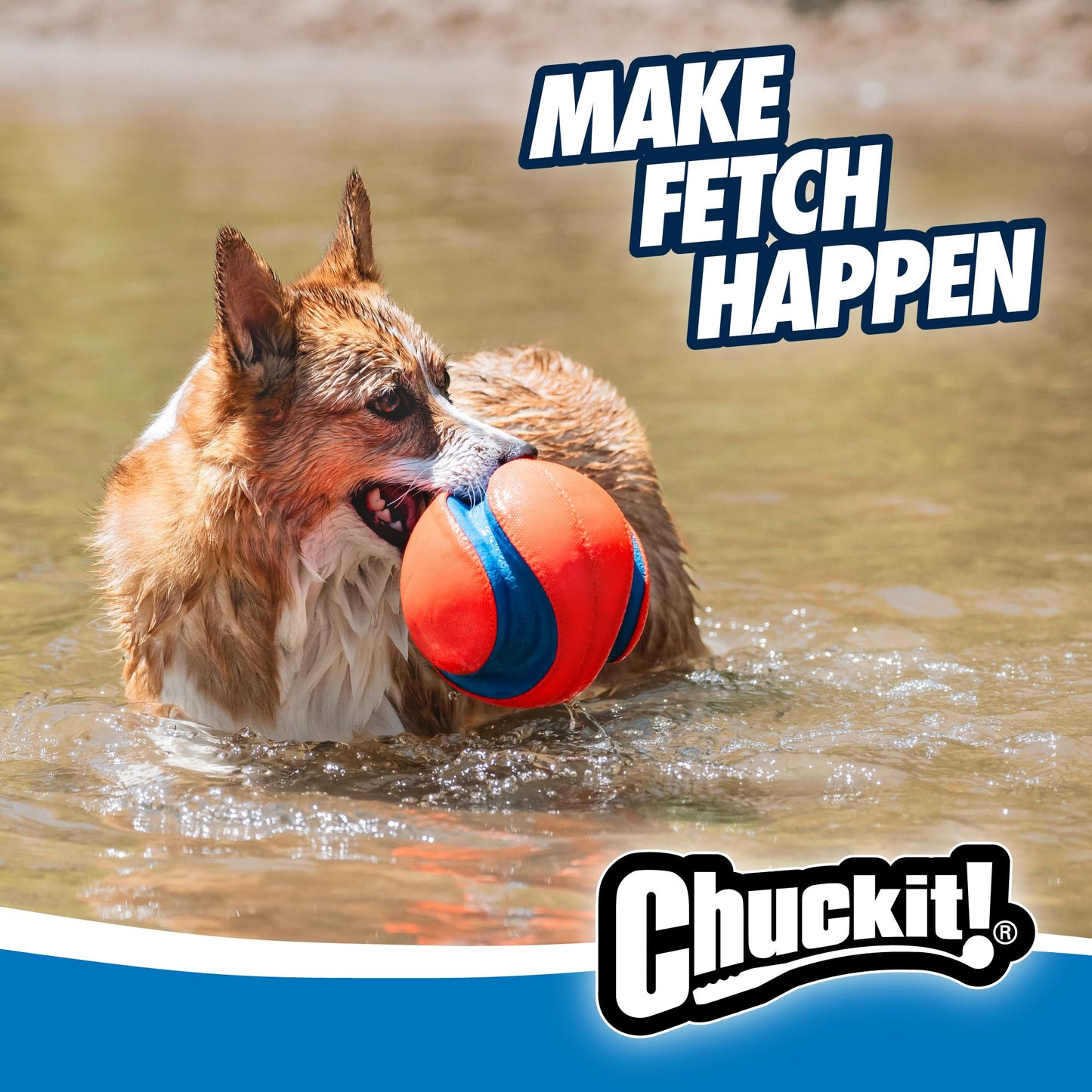 Chuckit Max Glow Kick Fetch Ball for Dogs