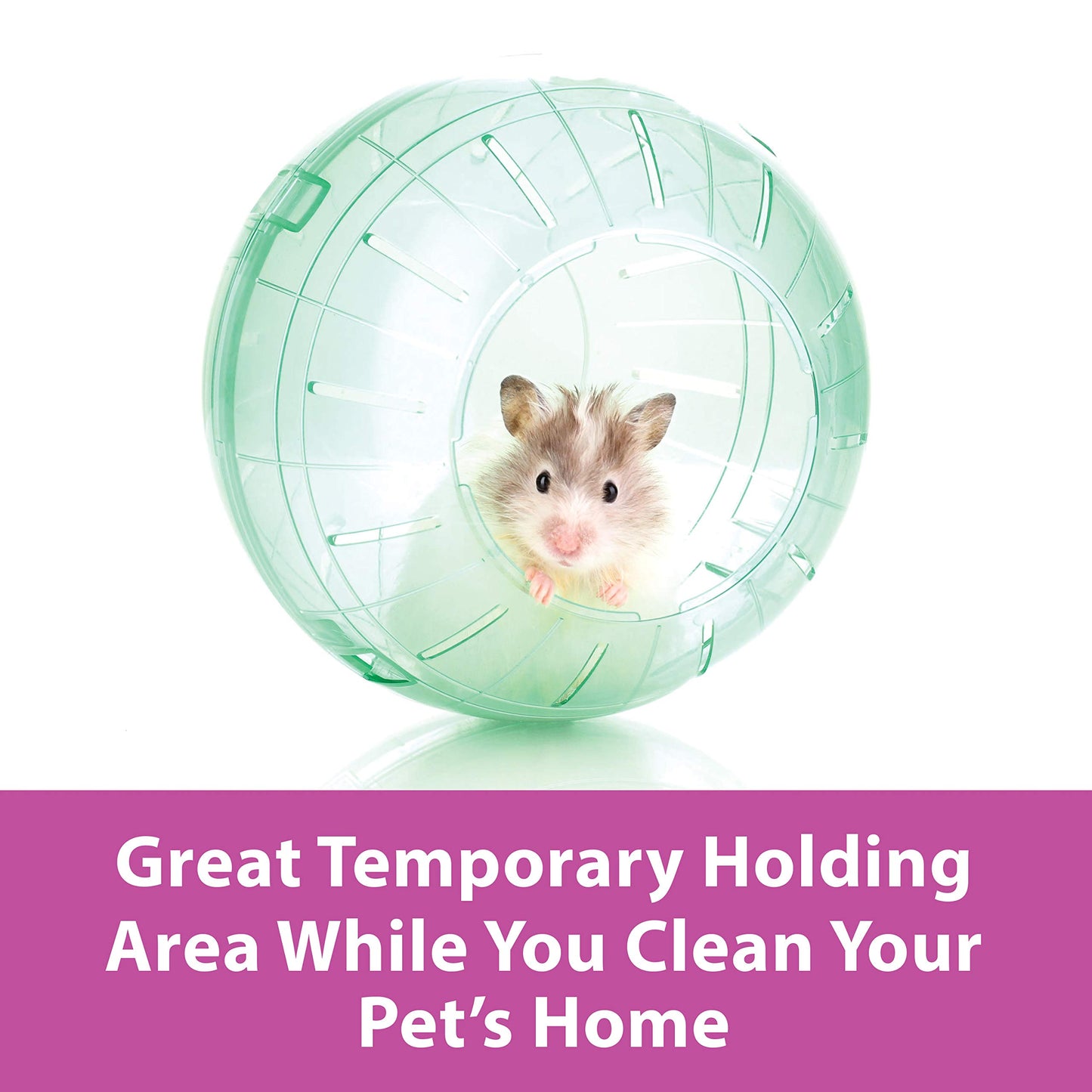 Kaytee 5 Inch Clear Exercise Ball for Dwarf Hamsters