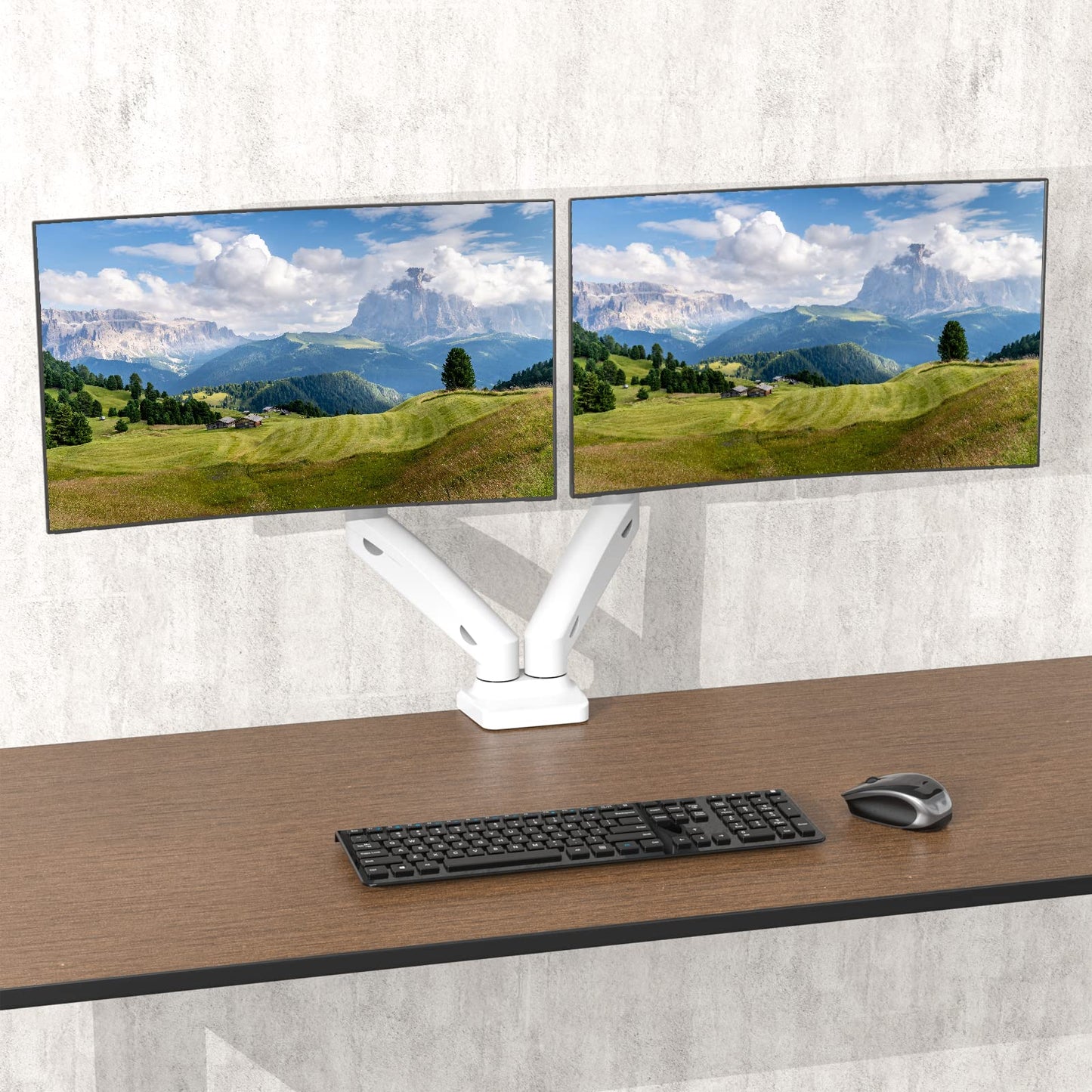 Wali Dual Monitor Stand With Gas Spring 17 to 32 Inches