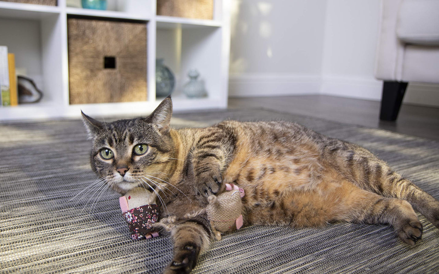 Interactive Cat Toy with Light and HappyNip Blend
