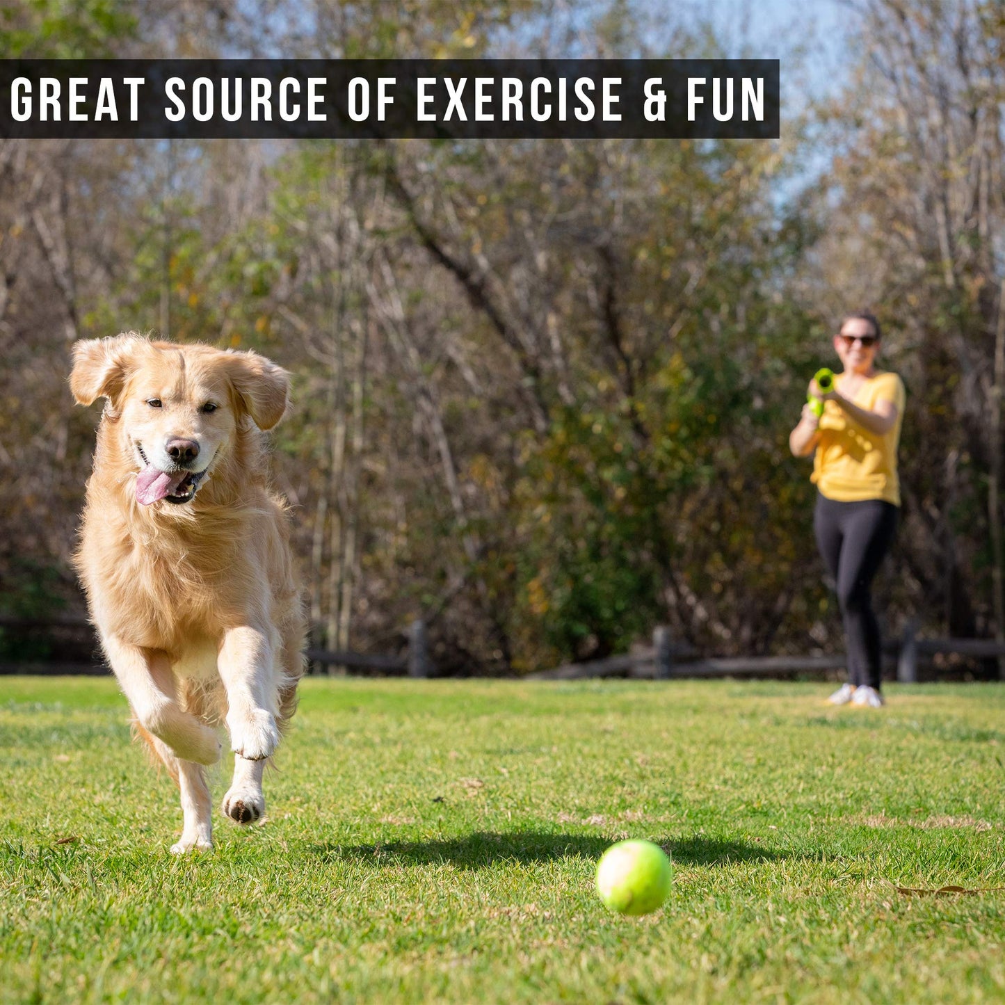 Automatic Ball Launcher for Dogs with Remote Control