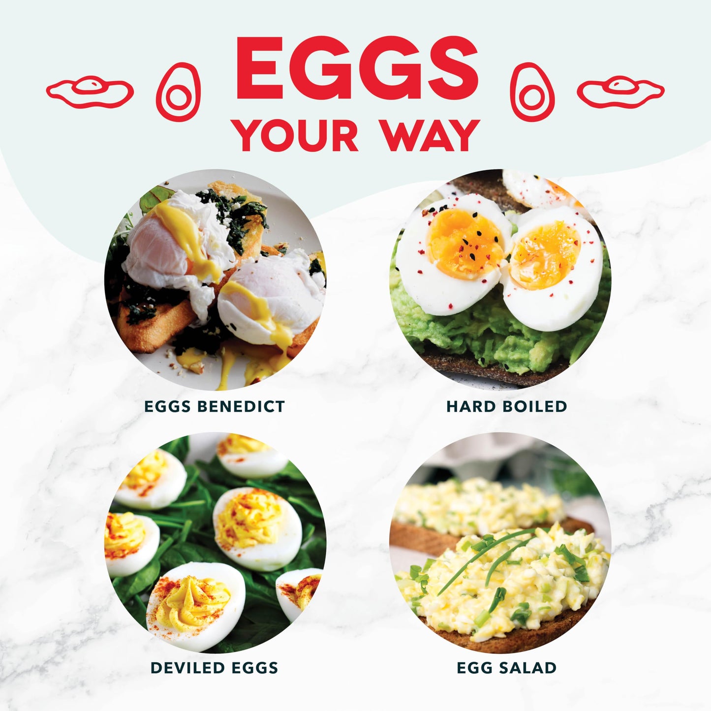 Dash Rapid Egg Cooker 6 Egg Capacity Auto Shut Off Aqua