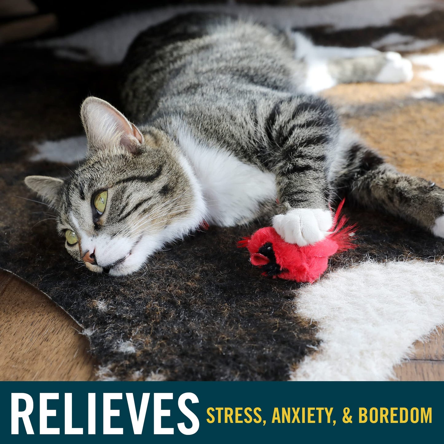 Interactive Cat Toys with Realistic Bird Sounds