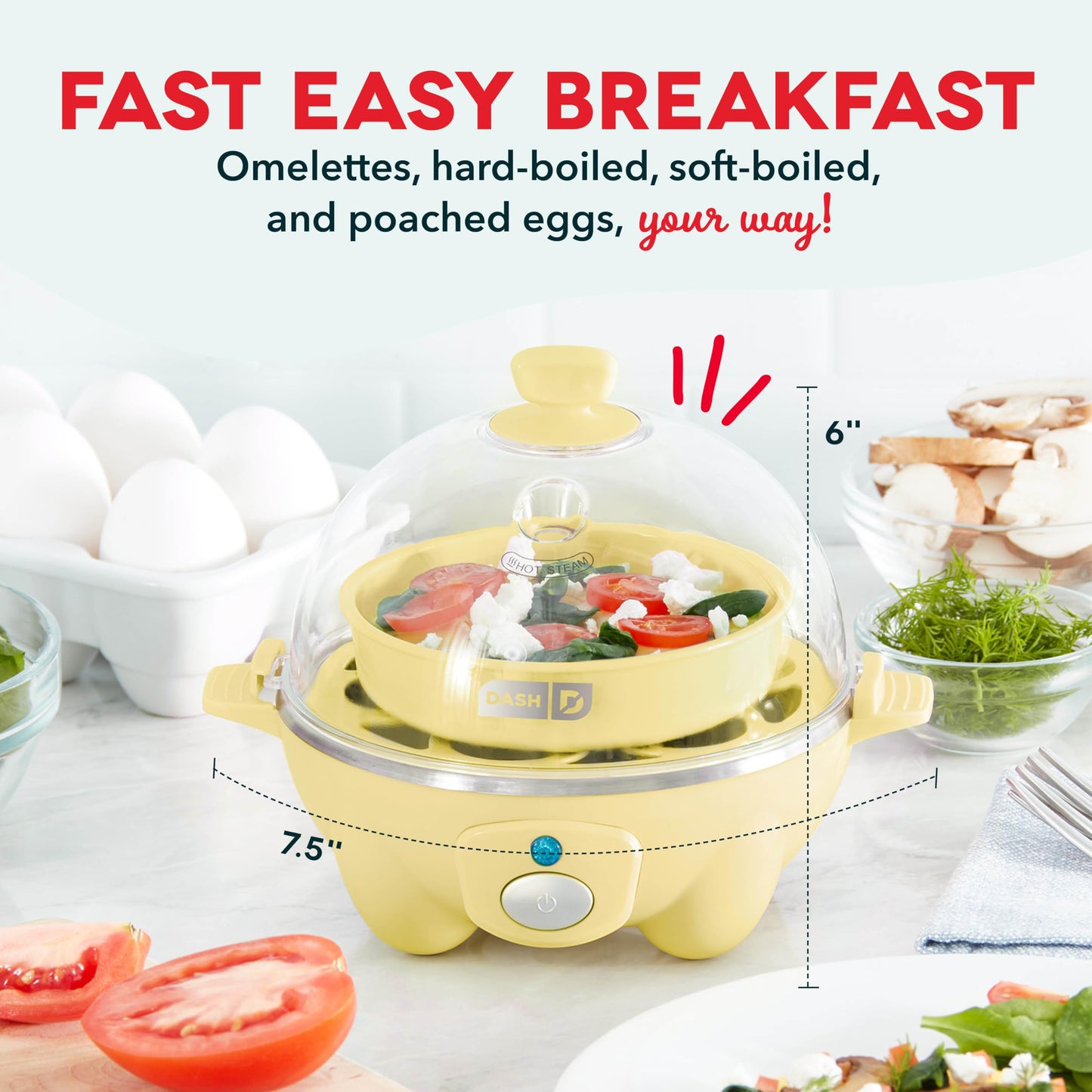 Dash Rapid Egg Cooker 6 Egg Capacity Auto Shut Off Aqua