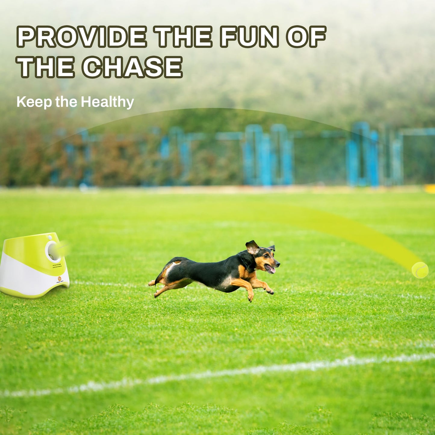 Automatic Dog Ball Launcher for Interactive Play