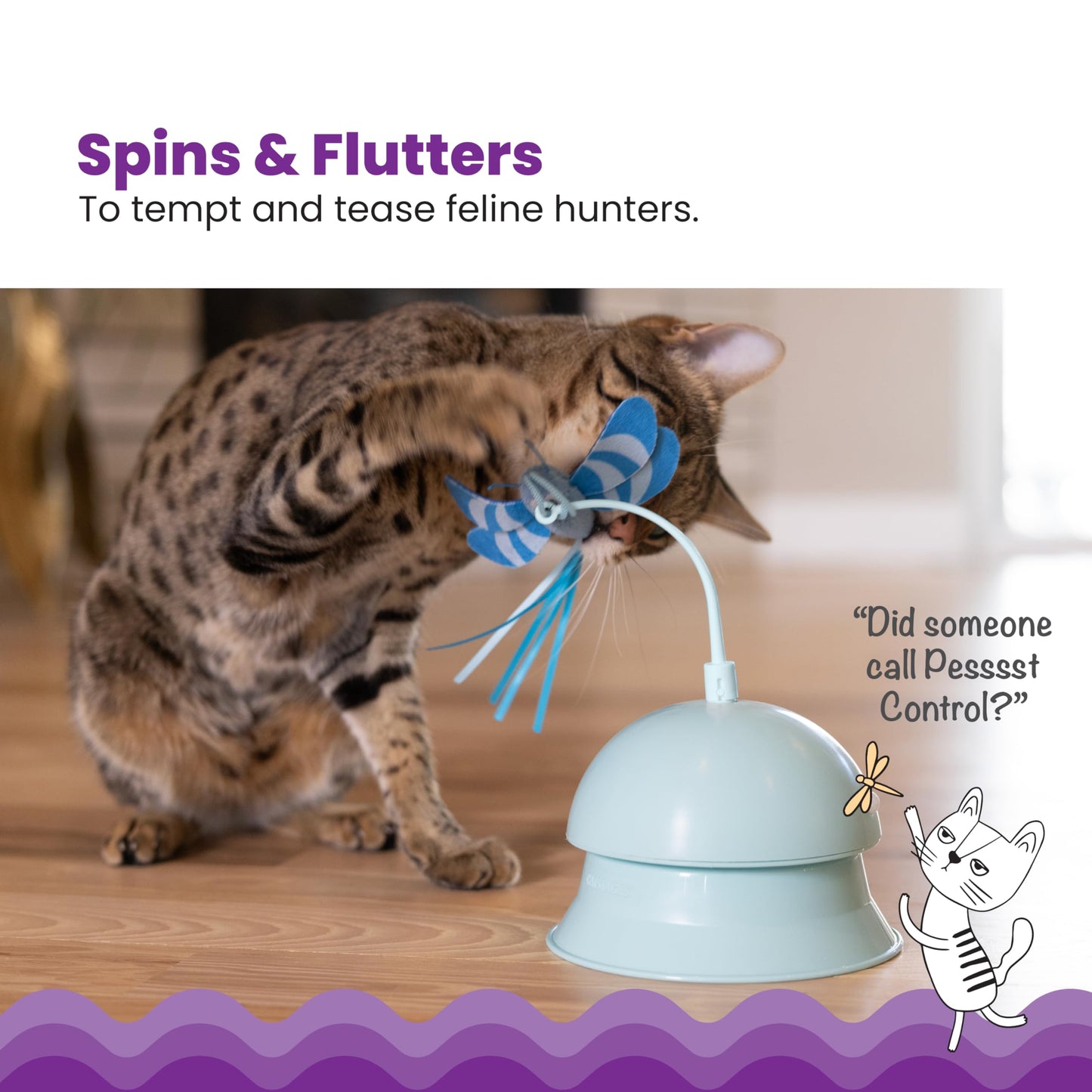 Interactive Flutter Dome Cat Toy for Indoor Play