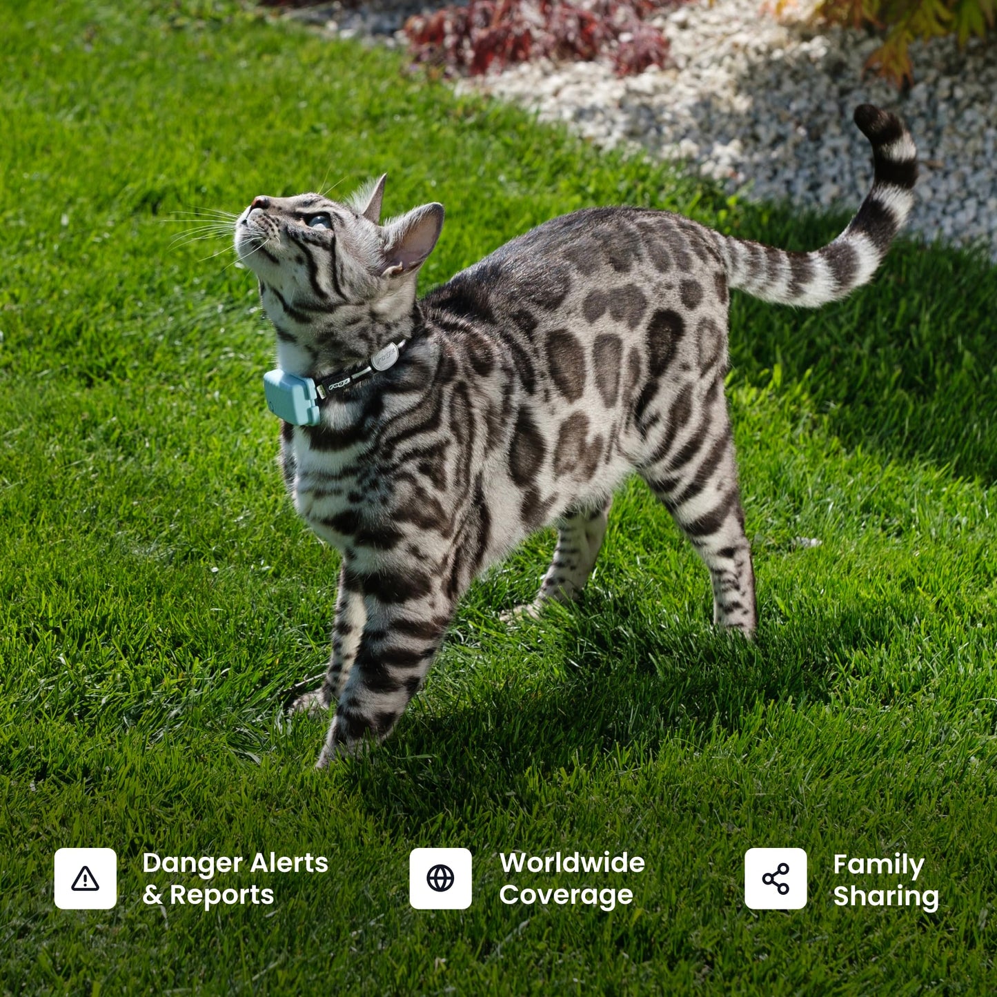 Tractive Smart Cat GPS Tracker with Real Time Monitoring