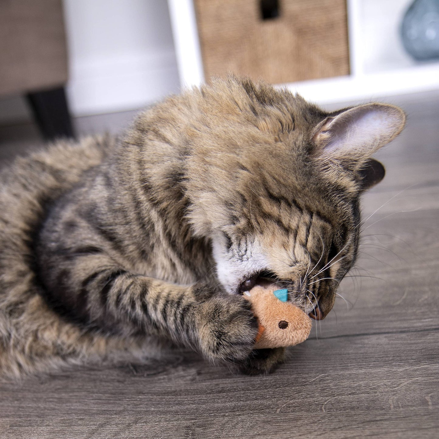 SmartyKat Chit Chatter Cat Toy with Realistic Sounds
