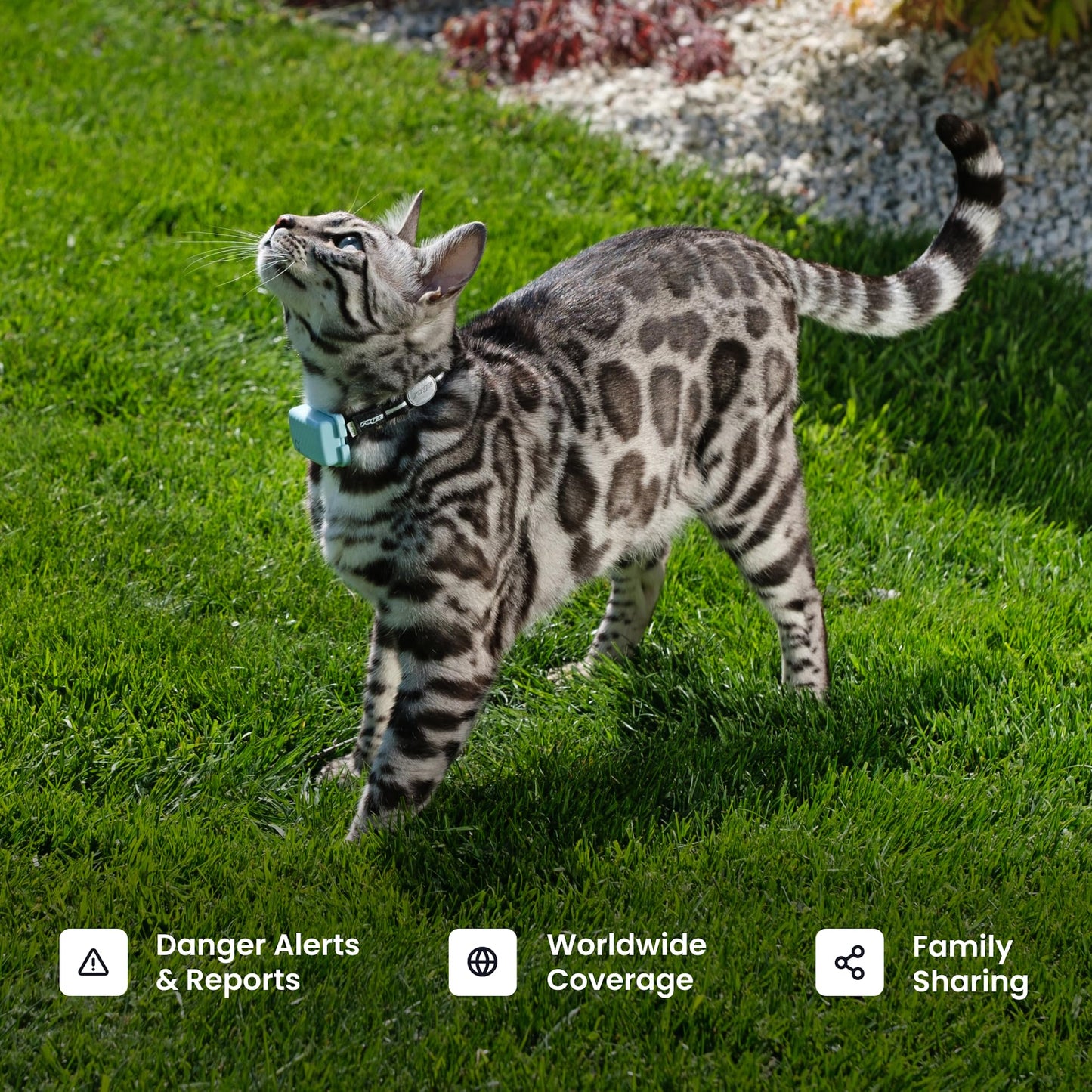 Tractive Smart Cat GPS Tracker with Real Time Monitoring