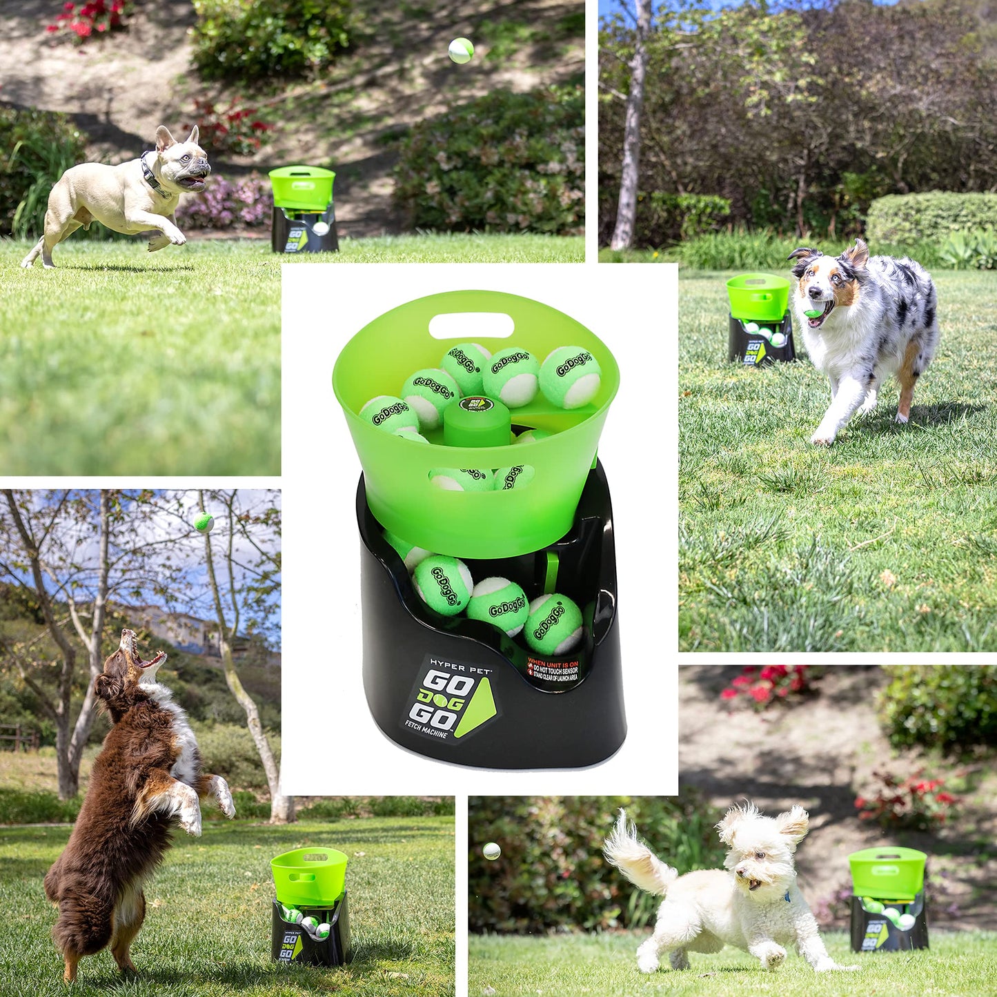 Automatic Ball Launcher for Dogs with Remote Control