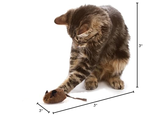 Interactive Cat Toy Pack with Real Mouse Sound