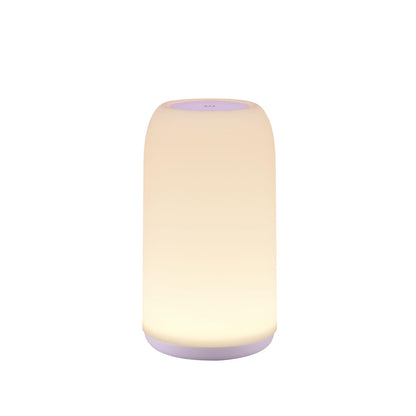Touch Bedside Table Lamp Rgb 3 Way Dimmable Nightstand
