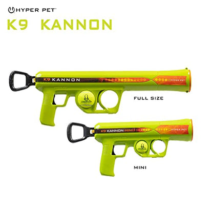 Automatic Ball Launcher for Dogs with Remote Control
