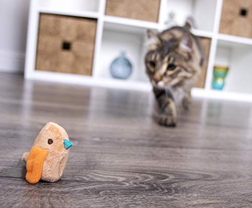 SmartyKat Chit Chatter Cat Toy with Realistic Sounds