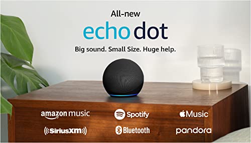 Echo Dot Smart Speaker With Rich Sound In Charcoal Plus