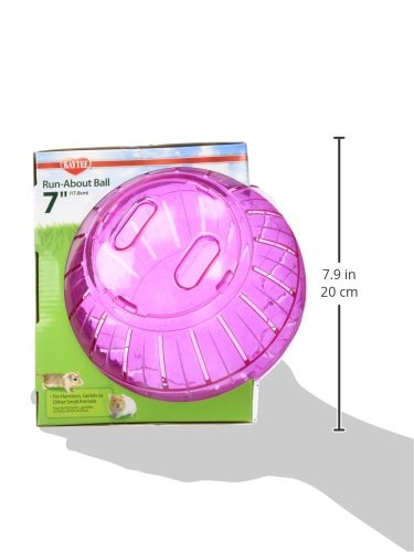 Kaytee 5 Inch Clear Exercise Ball for Dwarf Hamsters