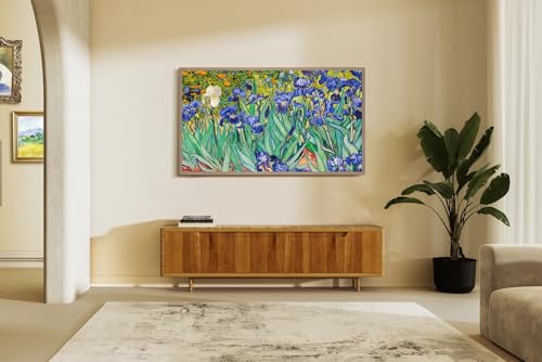 Hisense 65 Inch QLED Smart TV With Art Mode