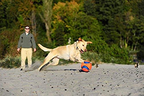 Chuckit Max Glow Kick Fetch Ball for Dogs