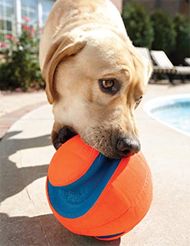 Chuckit Max Glow Kick Fetch Ball for Dogs