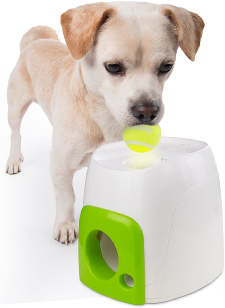 Interactive Fetch and Treat Toy for Dogs