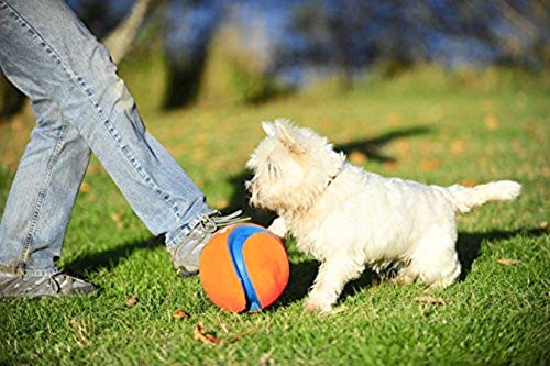 Chuckit Max Glow Kick Fetch Ball for Dogs