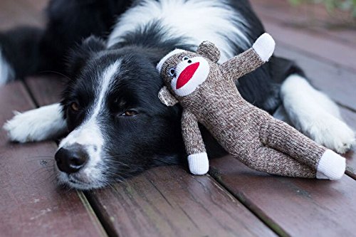 Interactive Plush Dog Toy with Chatter Feature