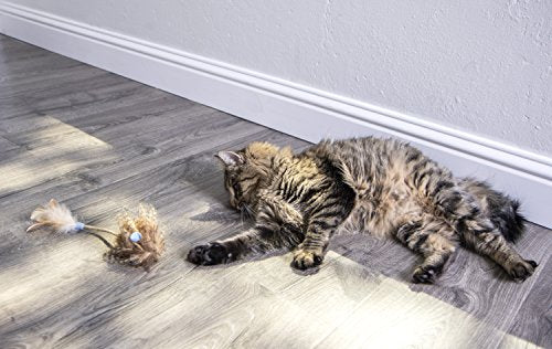 Interactive Cat Toy with Light and HappyNip Blend