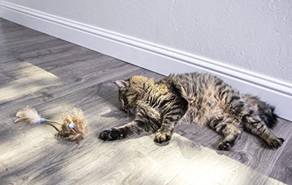Interactive Cat Toy with Light and HappyNip Blend
