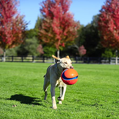 Chuckit Max Glow Kick Fetch Ball for Dogs