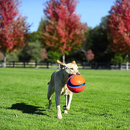 Chuckit Max Glow Kick Fetch Ball for Dogs