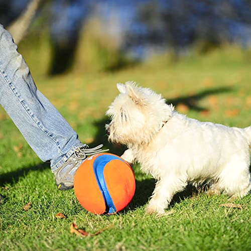 Chuckit Max Glow Kick Fetch Ball for Dogs