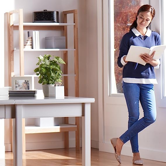 Honeywell HEPA Air Purifier for Allergens and Odors