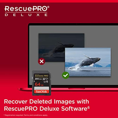 SanDisk 256GB Extreme PRO SD Card for Fast 4K Transfers