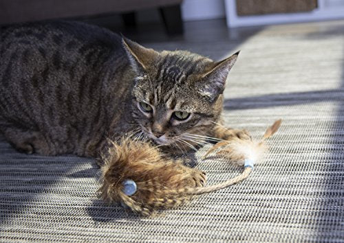 Interactive Cat Toy with Light and HappyNip Blend