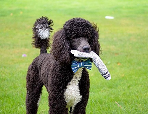 Interactive Plush Dog Toy with Chatter Feature