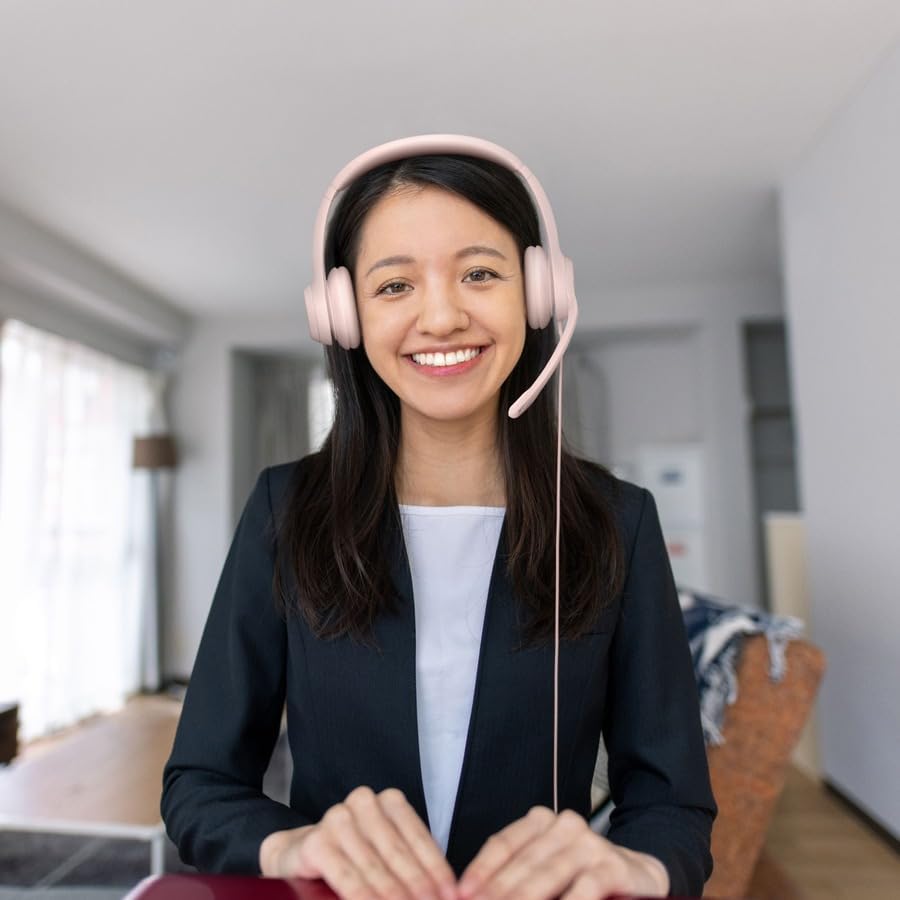 Logitech H390 Wired Headset with Noise Cancelling Mic