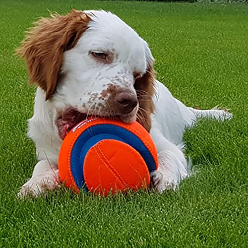 Chuckit Max Glow Kick Fetch Ball for Dogs