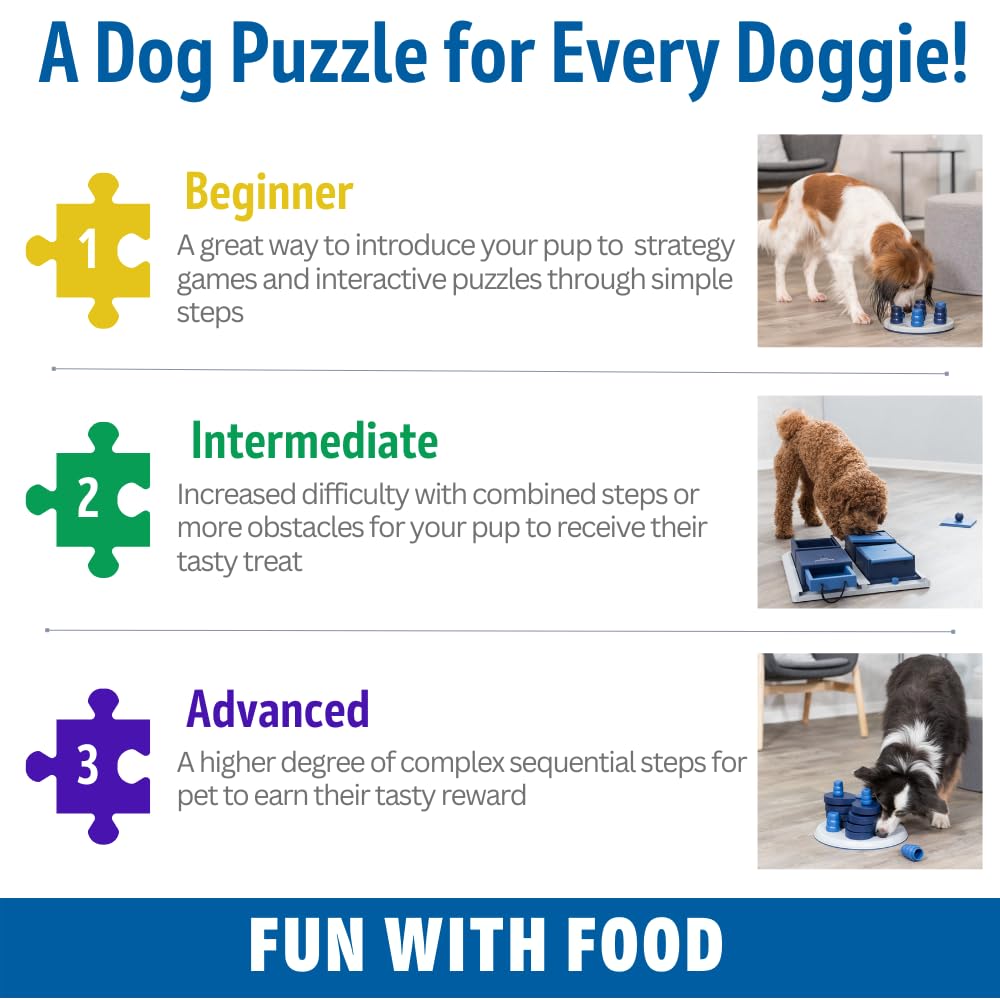 Trixie Move to Win Level 3 Dog Puzzle Game