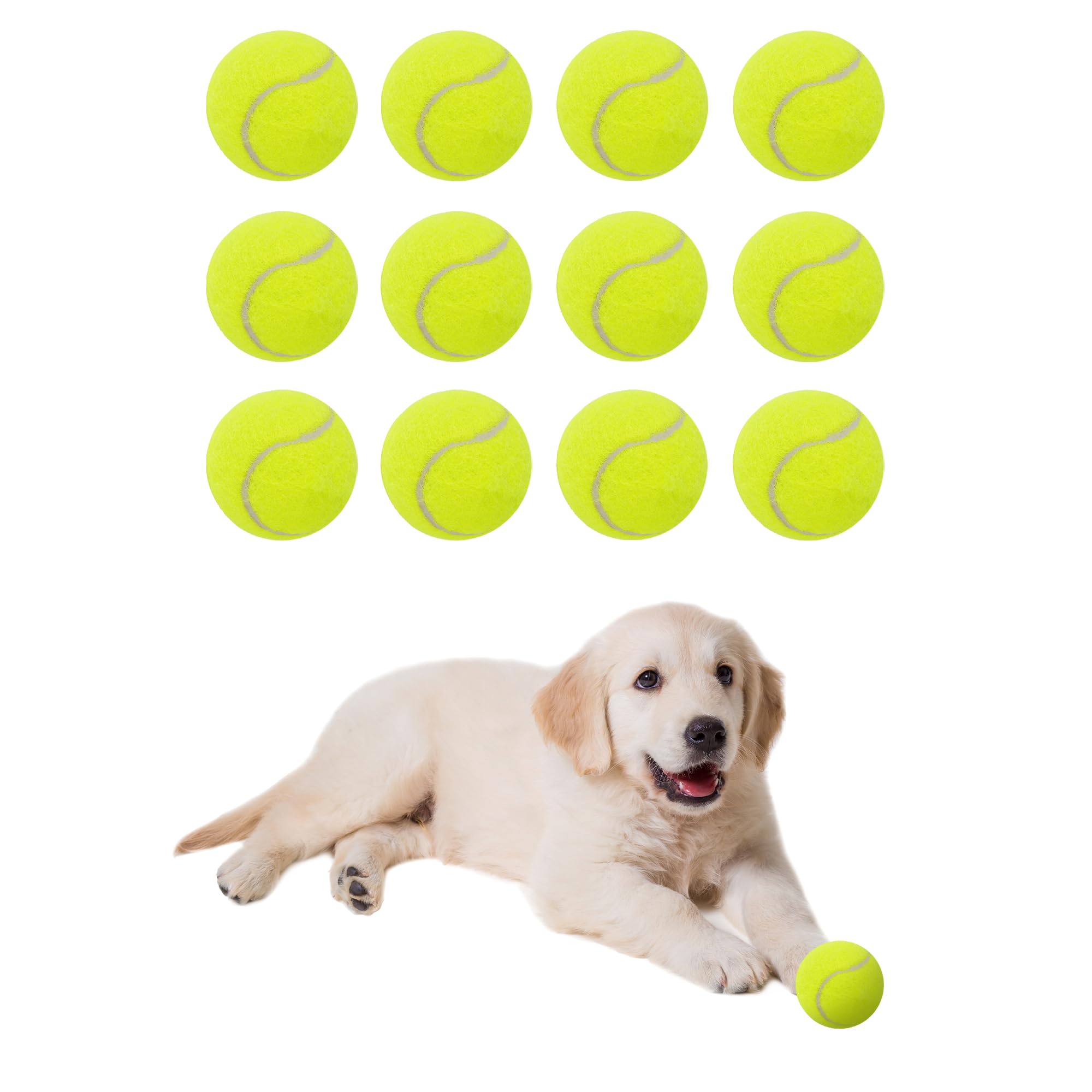 Automatic Dog Ball Launcher for Interactive Play