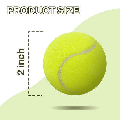 Automatic Dog Ball Launcher for Interactive Play