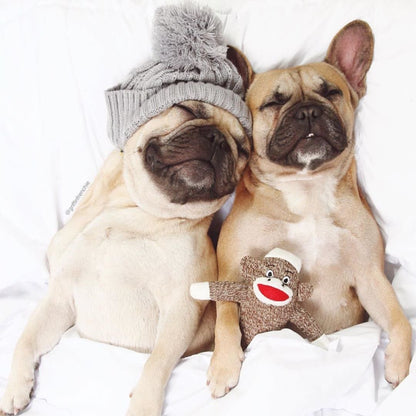 Interactive Plush Dog Toy with Chatter Feature