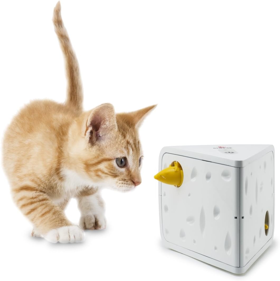 Interactive Cat Toy for Bored Cats with Peek a Boo Fun
